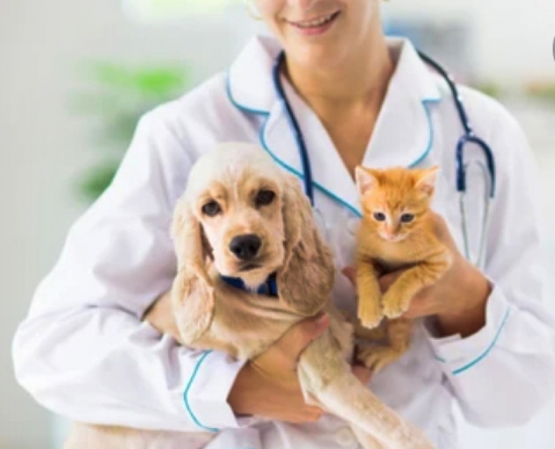 Vacina para Cachorro Moema