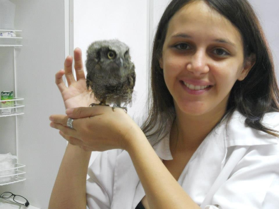 Veterinário para Papagaio do Congo